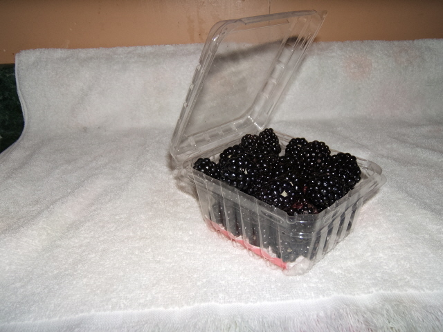  Blackberries packaged for sale 